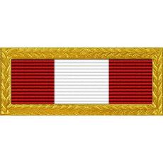 South Dakota National Guard Distinguished Unit Award (with Gold Frame)
